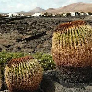 https://casa-layka-con-maravillosas-vistas-al-mar.puertodelcarmen-hotels.org