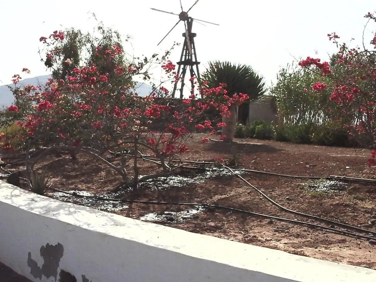 Alloggio per agriturismo Villa Rural Rugama Puerto del Rosario  Spagna